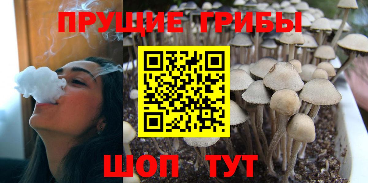 Красный Сулин  Галлюциногенные грибы Magic Shrooms  где купить наркоту  Галлюциногенные грибы Magic Shrooms  Вход с VPN 